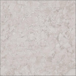 Grespania Aracruz Gris 120x120 cm