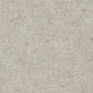 Grespania Fosil Gris 60x60 cm