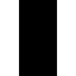 Absolute Black Natural 60x120cm