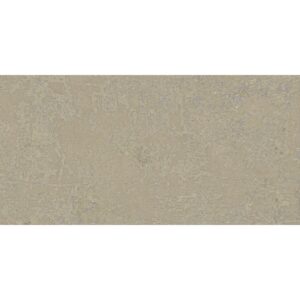 Fireclay Beige Matt 50x100cm