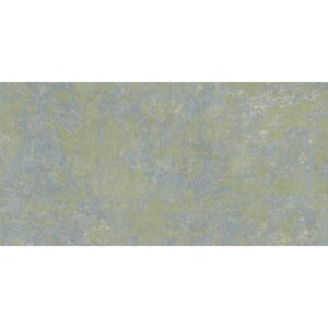 Fireclay Vestige Matt 50x100cm