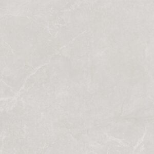 Noble Stone Grey Natural 100x100cm