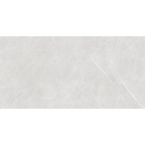 Aran Light Grey Matt 60x120cm
