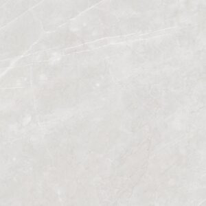 Aran Light Grey Matt 60x60cm