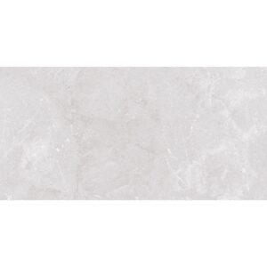 Efeso Light Grey Matt 60x120cm