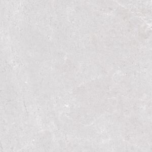 Efeso Light Grey Matt 120x120cm