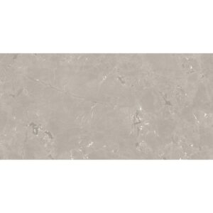 Neeko Taupe Matt 60x120cm