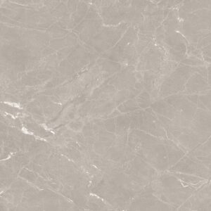 Neeko Taupe Matt 120x120cm