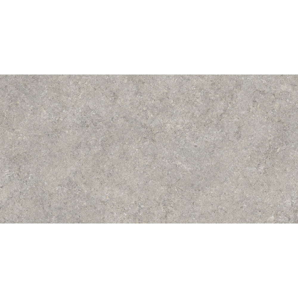 Vinci Grey Matt 60x120cm
