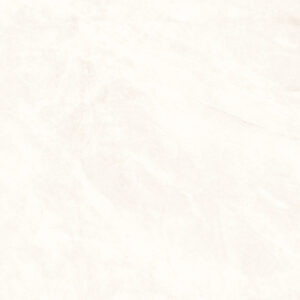 Partenon Blanco Matt 120x120cm