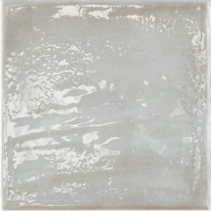 Rain Grigio Polished 22.3x 22.3cm
