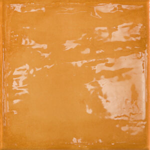 Rain Kaki Polished 22.3x 22.3cm