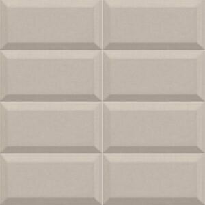 Bissel Gris Plata 10x20 cm