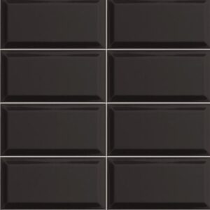 Bissel Negro 10x20 cm