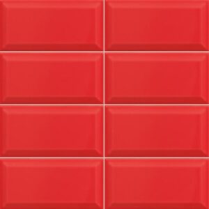 Bissel Rubi 10x20 cm