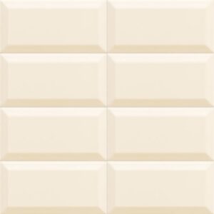 Bissel Vison 10x20 cm