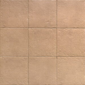 Canem Season 20x20 cm