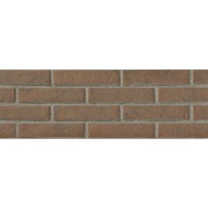 Ascot Cuero 20x60 cm