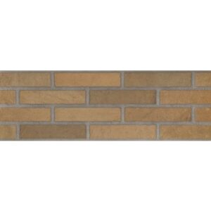 Ascot Fuego 20x60 cm